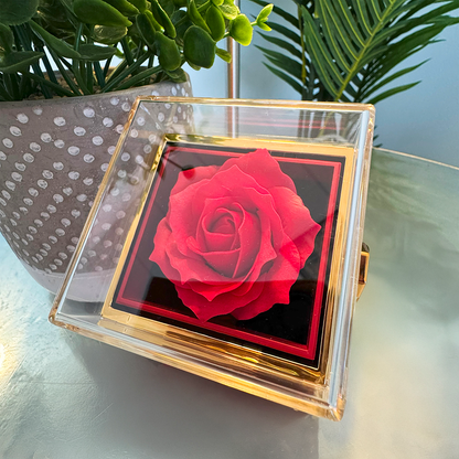 For the one who taught me to grow, to love, to bloom — Mom Rotating Rose !
